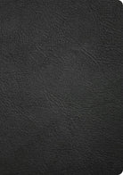 Cover image for CSB Baker Illustrated Study Bible, Black Genuine Leather, Indexed, isbn: 9798384540205