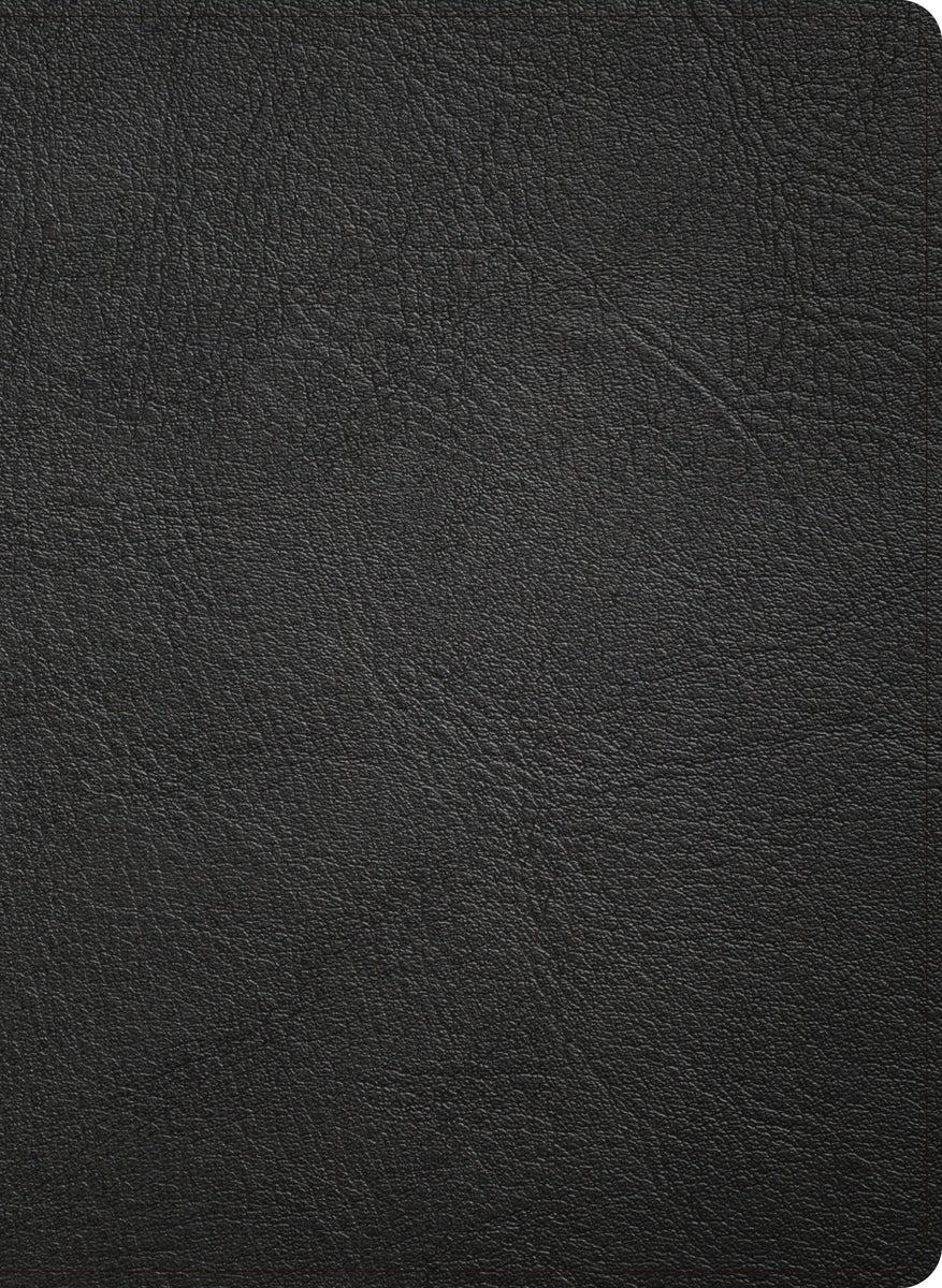Cover image for NASB Study Bible, Black Genuine Leather, isbn: 9798384540335