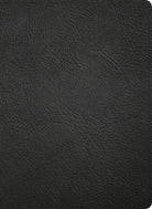 Cover image for NASB Study Bible, Black Genuine Leather, Indexed, isbn: 9798384540342