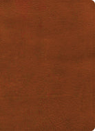 Cover image for NASB Study Bible, Burnt Sienna Leathertouch, isbn: 9798384540359