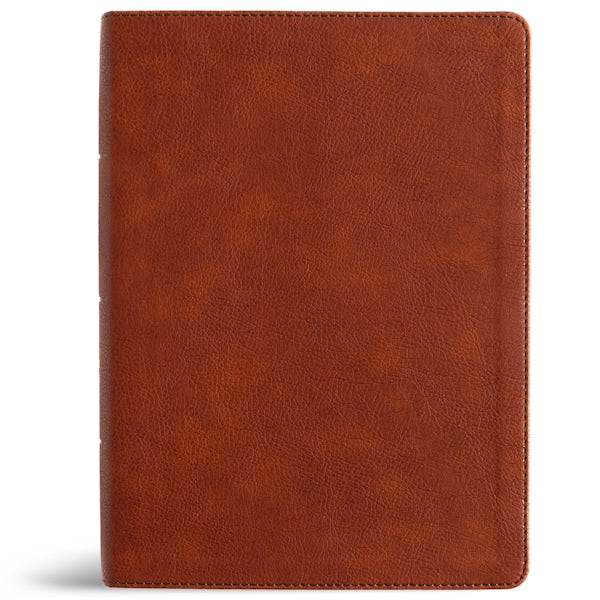 Cover image for NASB Study Bible, Burnt Sienna Leathertouch, Indexed, isbn: 9798384540366