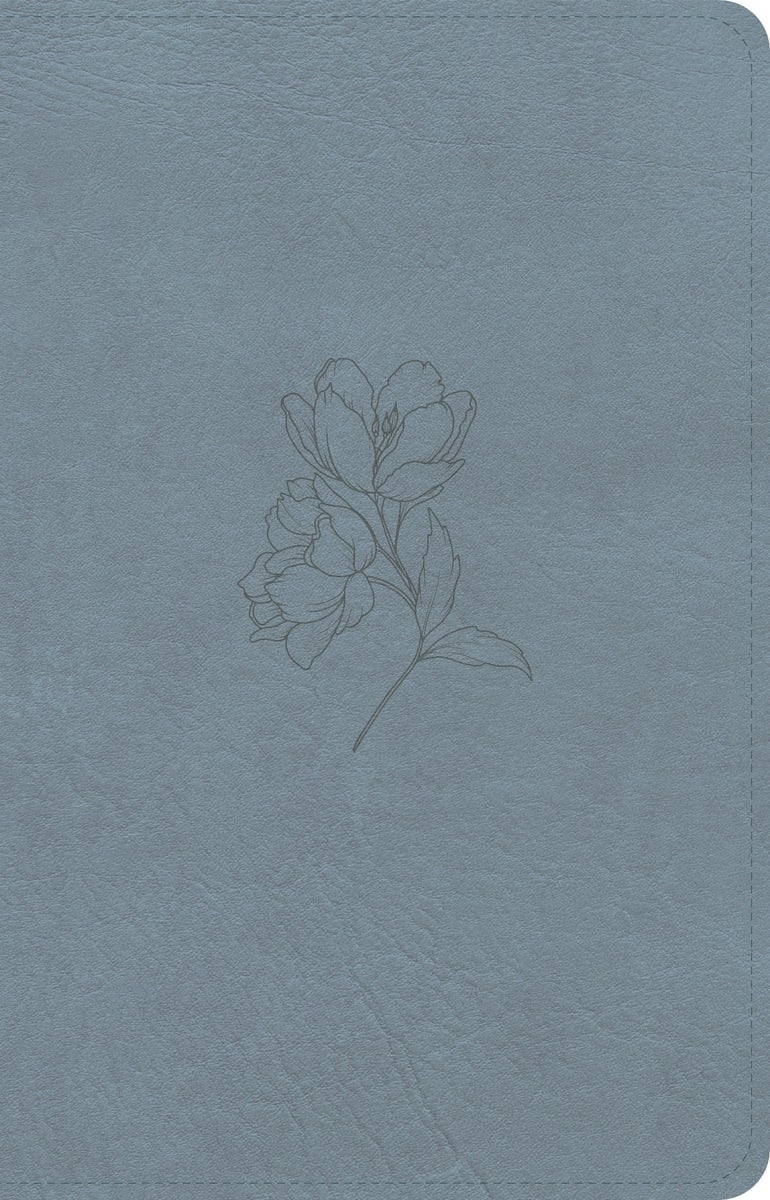 Cover image for CSB Personal Size Bible, Digital Study Edition, Blue Leathertouch, isbn: 9798384540427