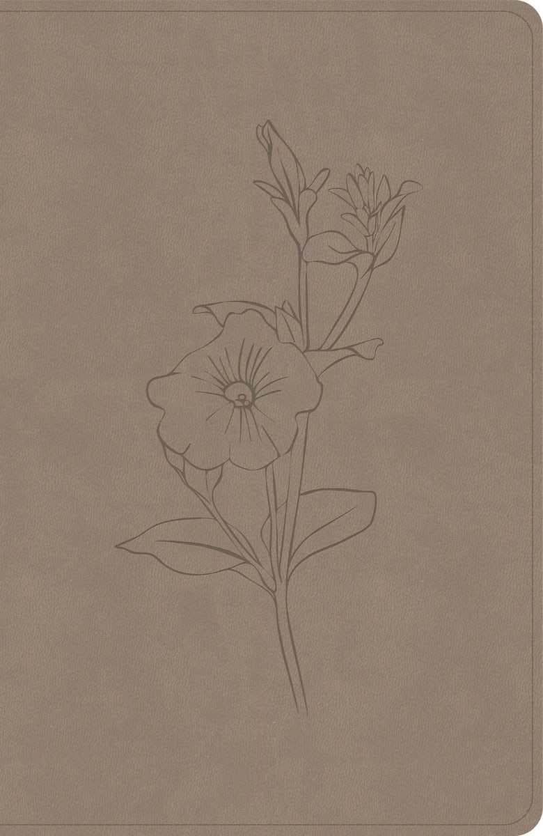 Cover image for CSB Personal Size Giant Print Bible, Digital Study Edition, Earth Suedesoft Leathertouch, isbn: 9798384540731