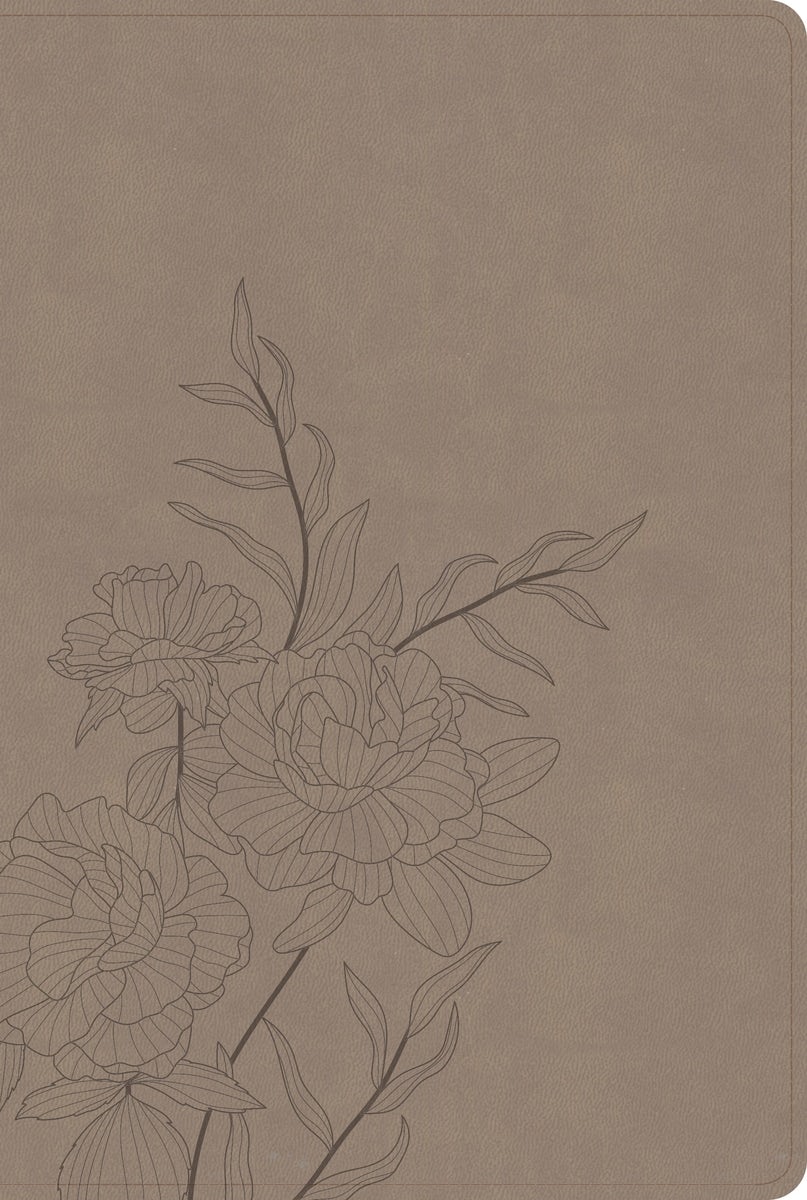 Cover image for CSB Large Print Thinline Bible, Digital Study Edition, Earth Suedesoft Leathertouch, isbn: 9798384540755