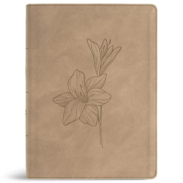 Cover image for CSB Verse-By-Verse Reference Bible, Digital Study Edition, Earth Suedesoft Leathertouch, isbn: 9798384540786