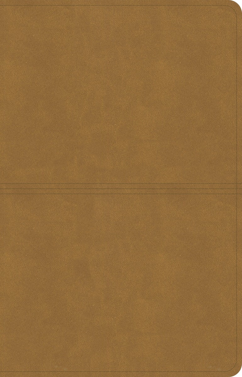 Cover image for CSB Thinline Reference Bible, Digital Study Edition, Camel Suedesoft Leathertouch, isbn: 9798384540823