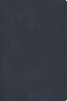 Cover image for Rvr 1960 Biblia Descubre Tu Fe, Gris Azulado, Sï¿½mil Piel Con ï¿½ndice, isbn: 9798384542933