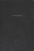 Cover image for Rvr 1960 Biblia Letra Grande, Tamaï¿½o Manual, Gris, Sï¿½mil Piel, isbn: 9798384543015