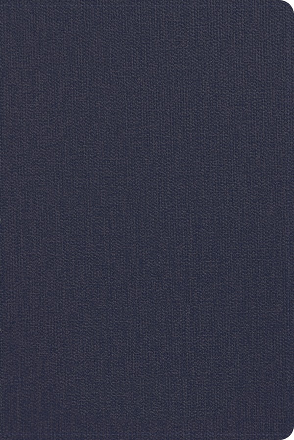 Cover image for CSB Men's Daily Bible, Blue Leathertouch, isbn: 9798384546030