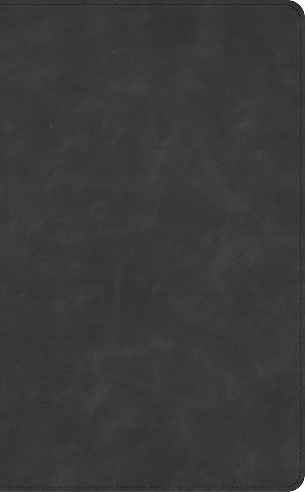 Cover image for CSB Single-Column Wide-Margin Bible, Holman Handcrafted Collection, Marbled Slate Premium Calfskin, isbn: 9798384546061