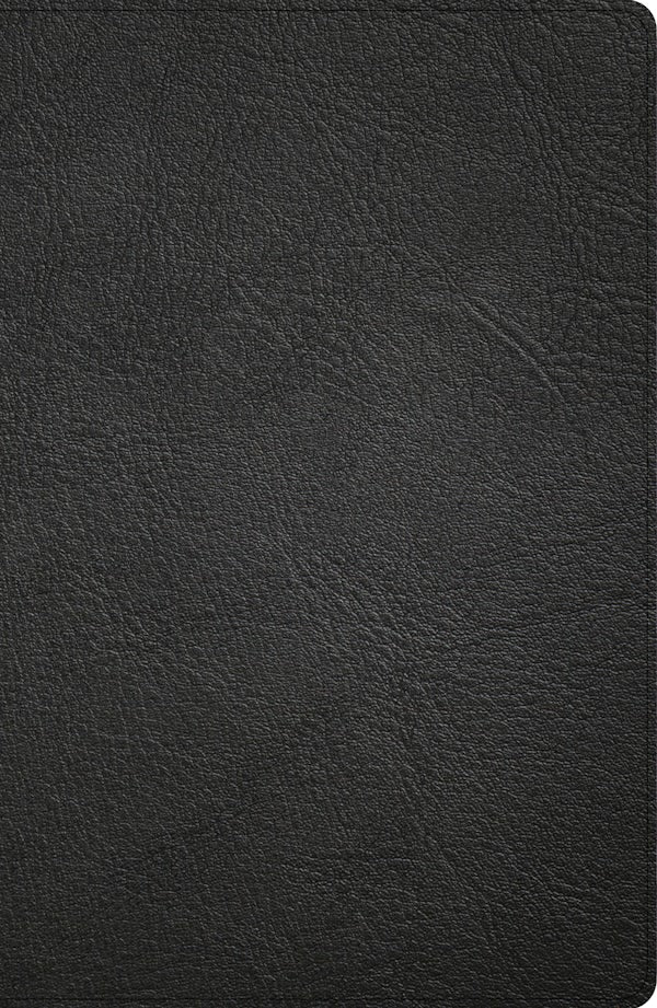 Cover image for CSB Large Print Personal Size Reference Bible, Optimal Type, Digital Study Edition, Black Genuine Leather, isbn: 9798384546115