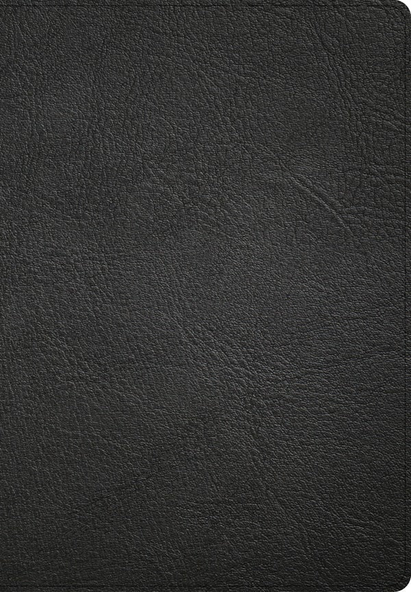 Cover image for CSB Super Giant Print Reference Bible, Optimal Type, Digital Study Edition, Black Genuine Leather, isbn: 9798384546382