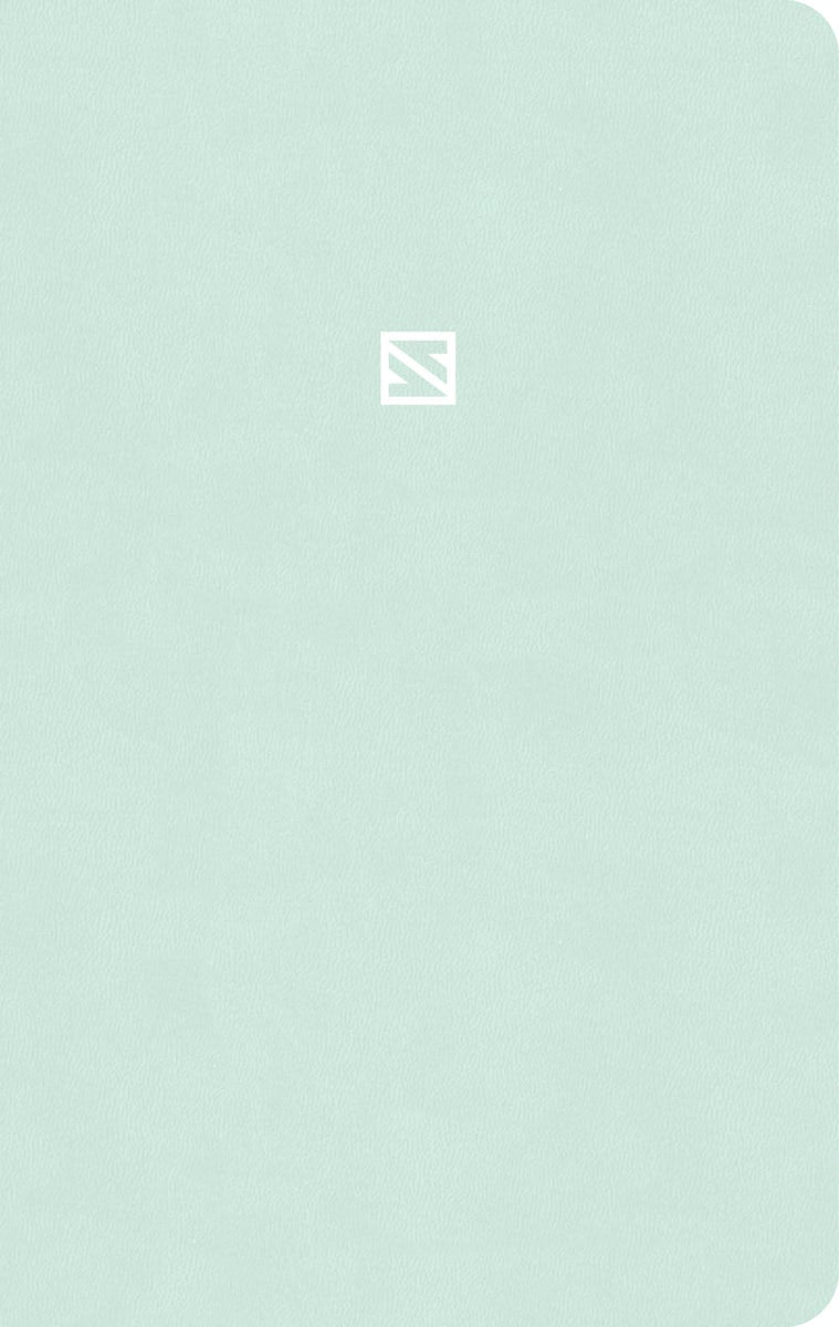 Cover image for CSB Teen Study Bible, Optimal Type, Mint Leathertouch, Indexed, isbn: 9798384552826