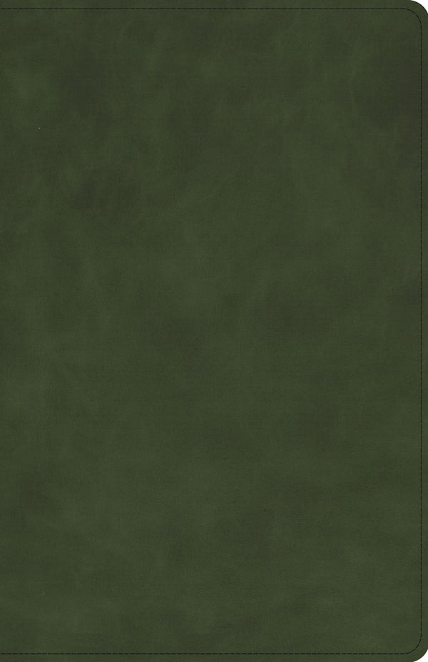 Cover image for CSB Large Print Personal Size Reference Bible, Optimal Type, Holman Handcrafted Collection, Marbled Olive Premium Calfskin, isbn: 9798384553014