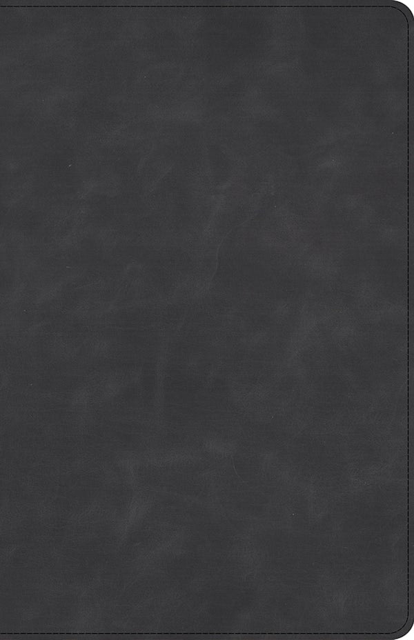 Cover image for CSB Large Print Personal Size Reference Bible, Optimal Type, Holman Handcrafted Collection, Marbled Slate Premium Calfskin, isbn: 9798384553021