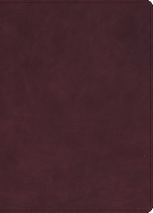 Cover image for KJV Single-Column Wide-Margin Bible, Holman Handcrafted Collection, Marbled Burgundy Premium Calfskin, isbn: 9798384553137