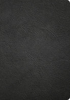 Cover image for CSB Apologetics Study Bible, Revised & Updated, Easy-To-Read Optimal Type, Black Genuine Leather, isbn: 9798384557142