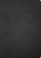 Cover image for CSB Apologetics Study Bible, Revised & Updated, Easy-To-Read Optimal Type, Black Genuine Leather, Indexed, isbn: 9798384557159