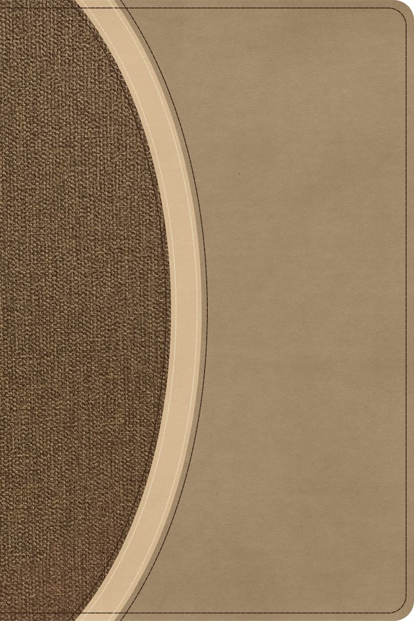 Cover image for CSB Rainbow Study Bible, Brown Leathertouch, isbn: 9798384557760