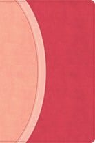 Cover image for CSB Rainbow Study Bible, Pink Leathertouch, isbn: 9798384557784
