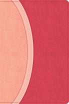 Cover image for CSB Rainbow Study Bible, Pink Leathertouch, Indexed, isbn: 9798384557791