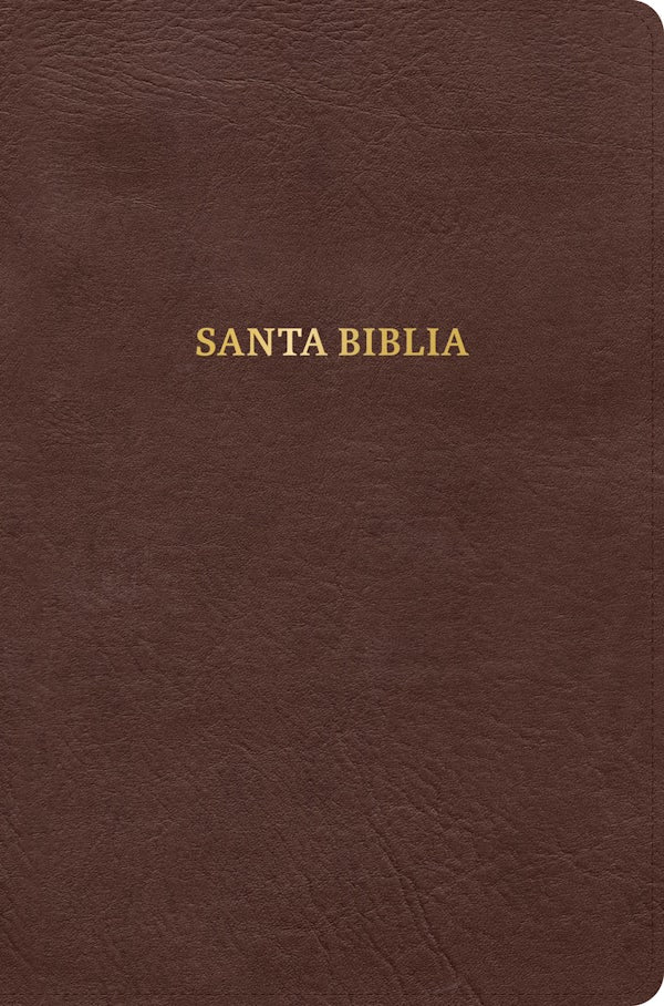 Cover image for Rvr 1960 Biblia Gracia, Cafï¿½, Sï¿½mil Piel, isbn: 9798384558224