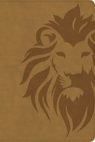 Cover image for KJV One Big Story Bible, Revised & Updated, Easy-To-Read Optimal Type, Brown Leathertouch, isbn: 9798384561637