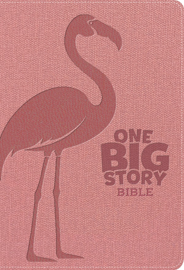 Cover image for KJV One Big Story Bible, Revised & Updated, Easy-To-Read Optimal Type, Pink Leathertouch, Indexed, isbn: 9798384561668