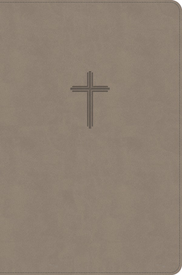 Cover image for CSB Everyday Study Bible, Earth Suedesoft Leathertouch, isbn: 9798384561750