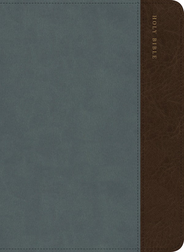 Cover image for CSB Large Print Compact Reference Bible, Digital Study Edition, Easy-To-Read Optimal Type, Slate/Brown Leathertouch, Zipper Edition, isbn: 9798384561774