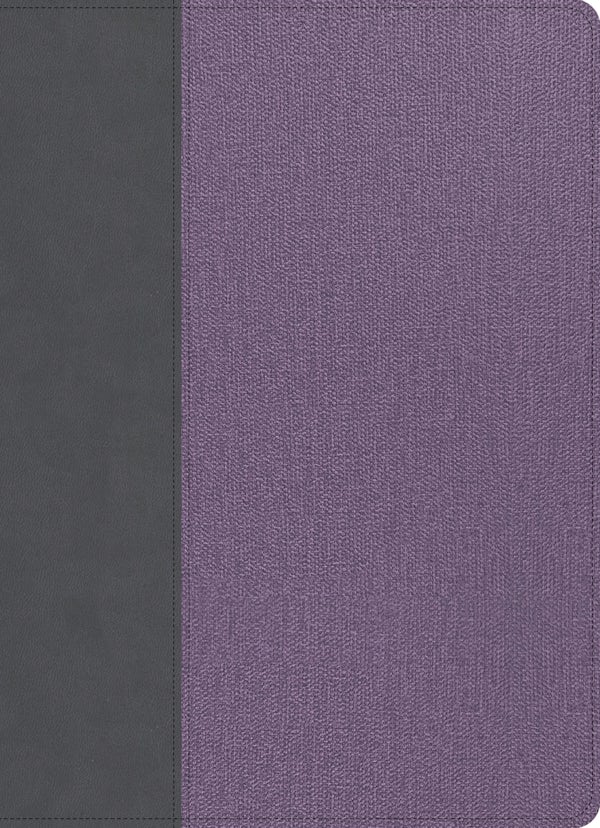 Cover image for CSB Study Bible, Large Print, Digital Study Edition, Gray/Lavender Leathertouch, isbn: 9798384561835