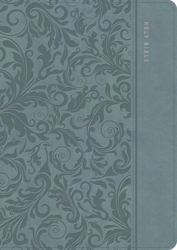 Cover image for CSB Study Bible, Personal Size, Digital Study Edition, Earthen Teal Leathertouch, isbn: 9798384561873