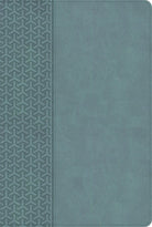 Cover image for KJV Everyday Study Bible, Earthen Teal Leathertouch, isbn: 9798384561897