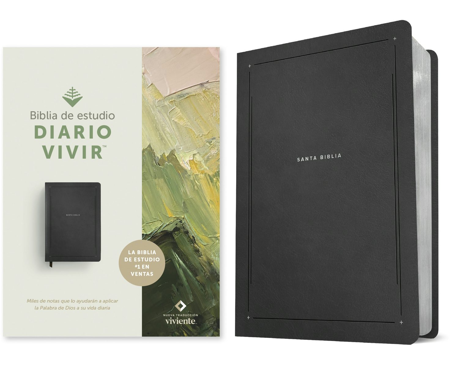 Cover image for Biblia de Estudio del Diario Vivir Ntv (Sentipiel, Negro, Letra Roja), isbn: 9798400510151