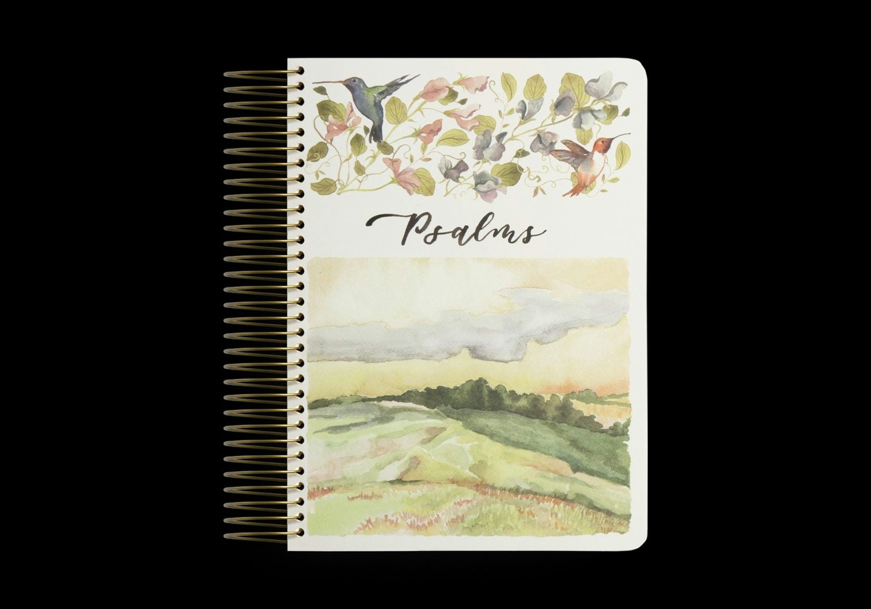 Cover image for ESV Scripture Journal, Spiral-Bound Edition, isbn: 9798874900076