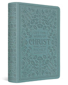 Cover image for ESV Illuminated(tm) Bible, Art Journaling Edition (Trutone, Paris Sky, Colossians 3:16 Design), isbn: 9798874900199