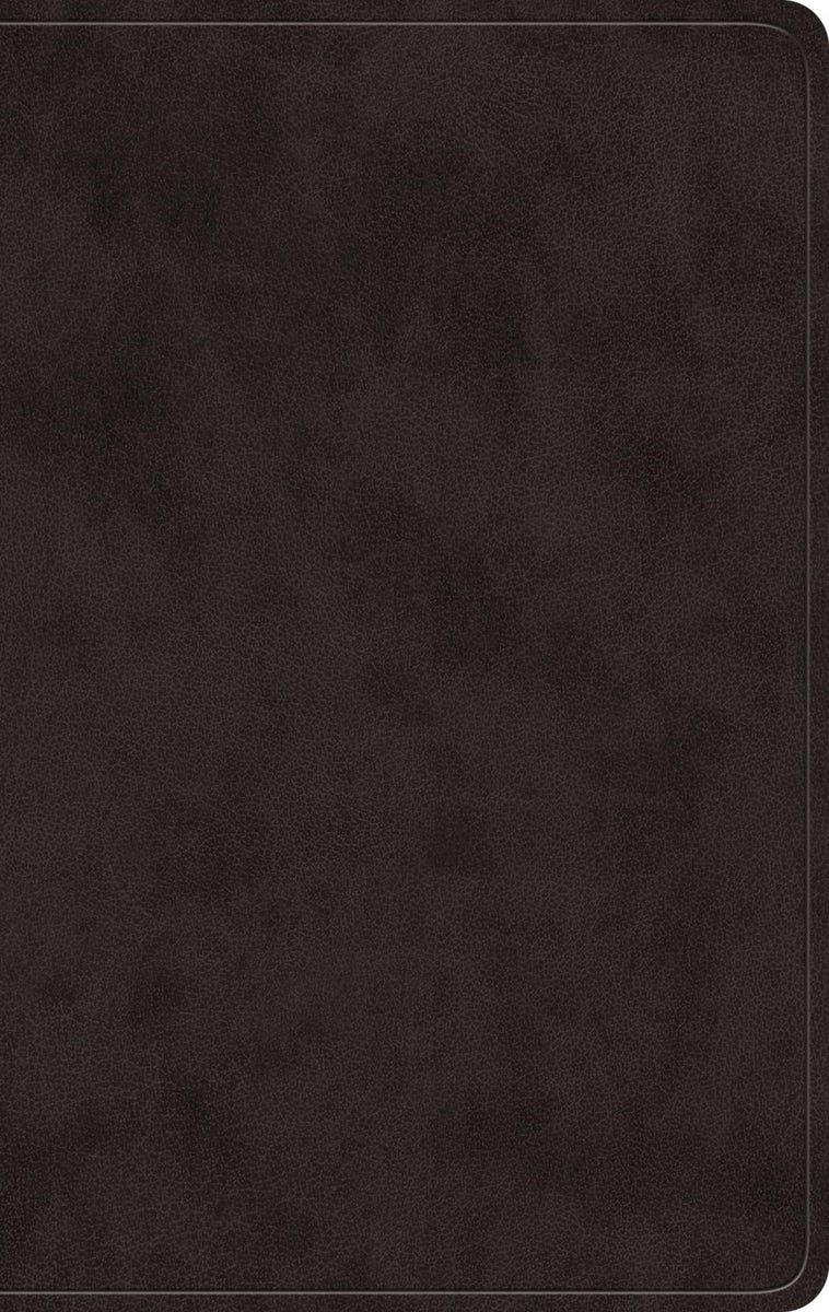 Cover image for ESV Giant Print Value Personal Size Bible (Trutone, Black), isbn: 9798874900328