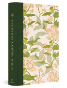 Cover image for ESV Everyday Gospel Bible, Artist Series, isbn: 9798874900410