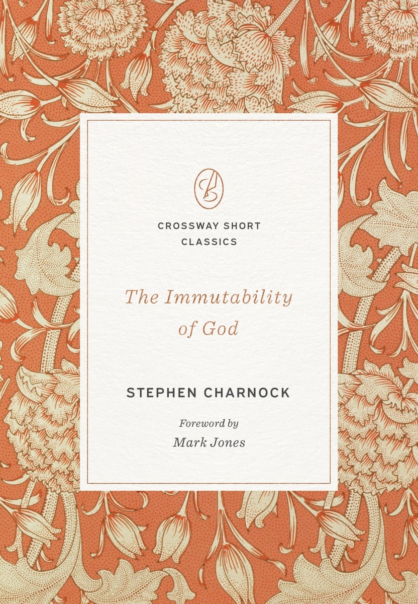 Cover image for The Immutability of God, isbn: 9798874902254