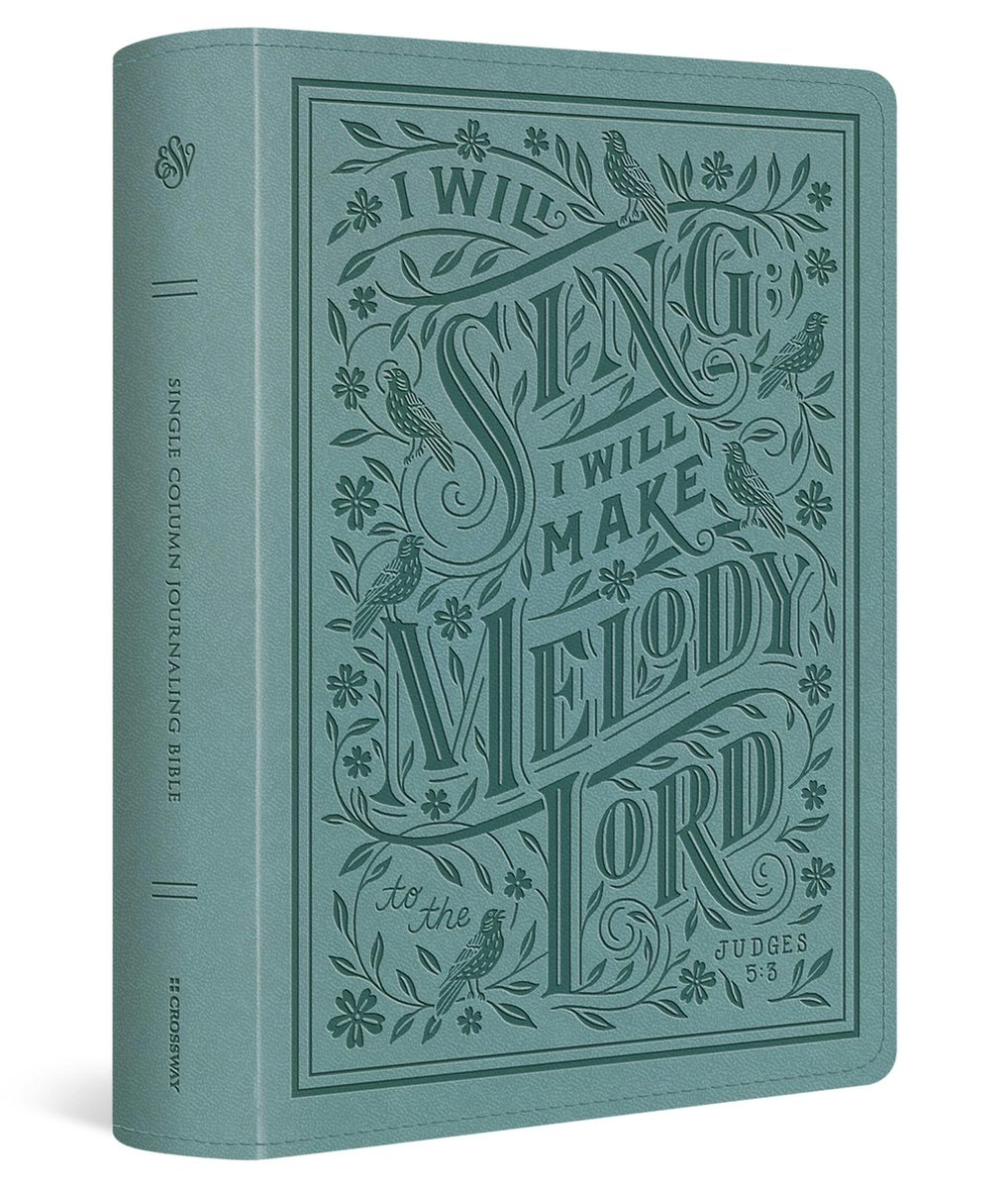 Cover image for ESV Single Column Journaling Bible, Large Print (Trutone, Paris Sky, Judges 5:3 Design), isbn: 9798874902582