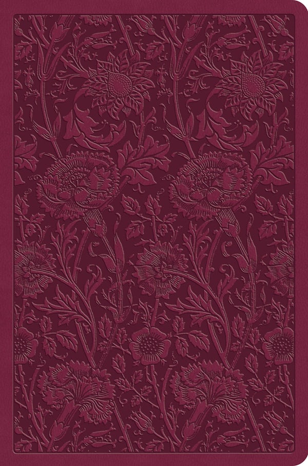 Cover image for ESV Value Compact Bible (Trutone, Raspberry, Floral Design), isbn: 9798874902803