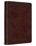 Cover image for ESV Value Compact Bible (Trutone, Mahogany, Border Design), isbn: 9798874902841