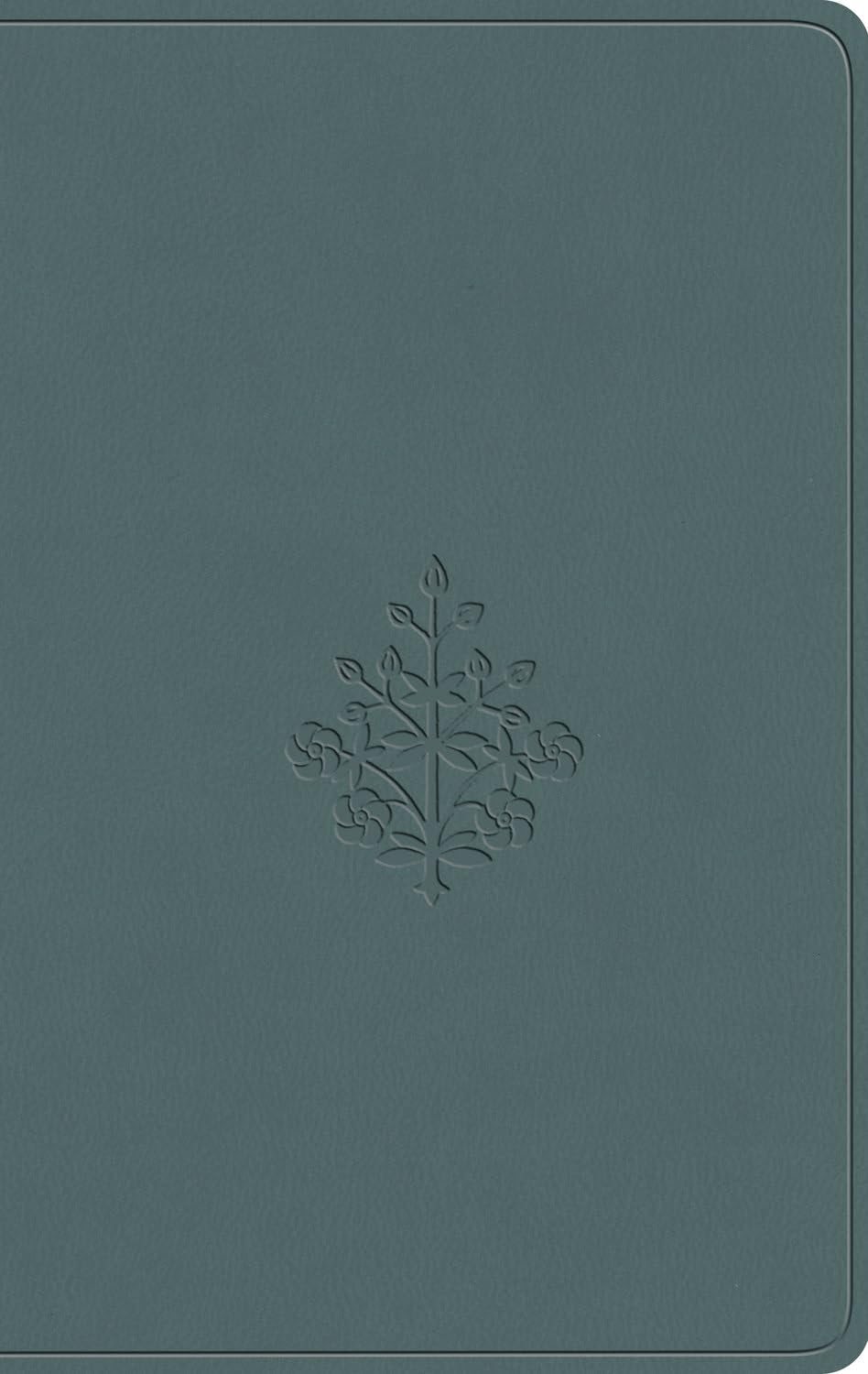 Cover image for ESV Value Compact Bible (Trutone, Paris Sky, Branch Design), isbn: 9798874902865