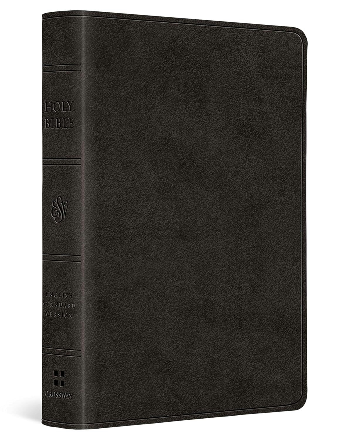 Cover image for ESV Value Large Print Compact Bible (Trutone, Black), isbn: 9798874903053