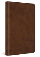 Cover image for ESV Premium Gift Bible (Trutone, Brown), isbn: 9798874903114