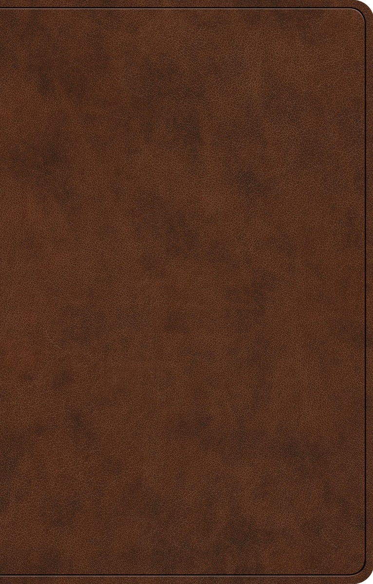 Cover image for ESV Premium Gift Bible (Trutone, Brown), isbn: 9798874903114