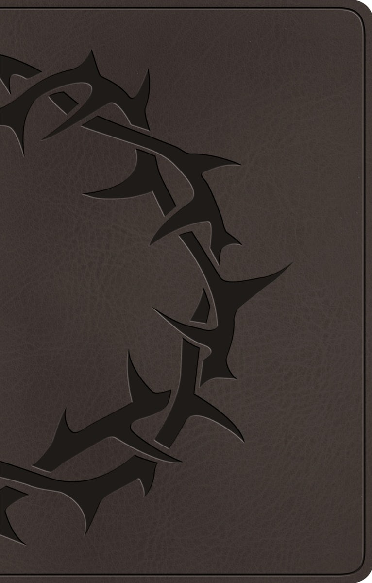 Cover image for ESV Premium Gift Bible (Trutone, Charcoal, Crown Design), isbn: 9798874903121