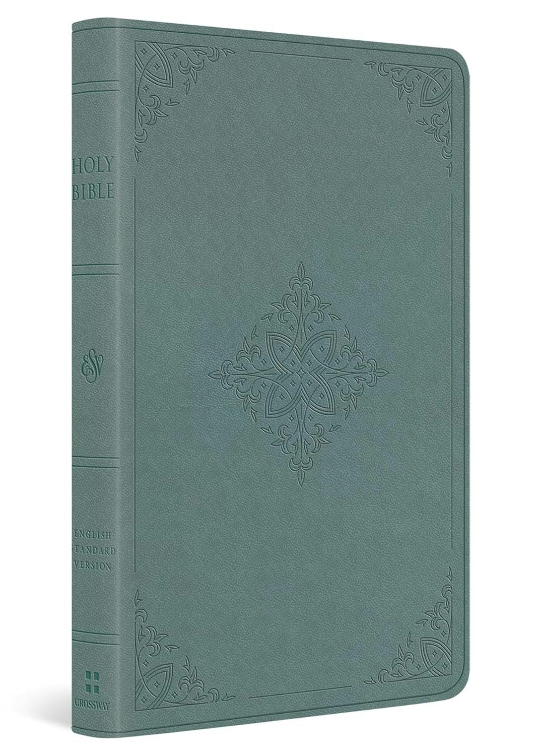 Cover image for ESV Value Thinline Bible (Trutone, Paris Sky, Fleur-De-Lis Design), isbn: 9798874903367