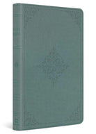Cover image for ESV Value Thinline Bible (Trutone, Paris Sky, Fleur-De-Lis Design), isbn: 9798874903367
