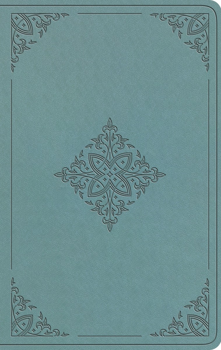 Cover image for ESV Value Thinline Bible (Trutone, Paris Sky, Fleur-De-Lis Design), isbn: 9798874903367